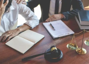 Lawyers and Law Firms