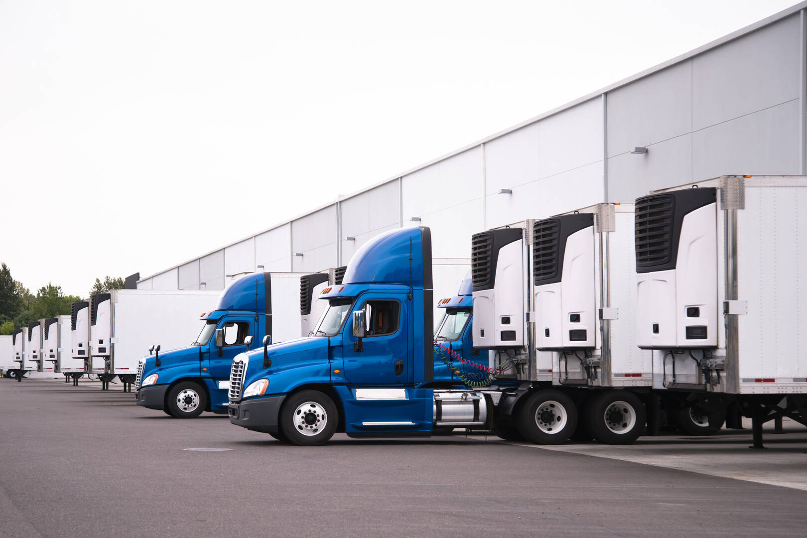 Mover Saskatoon SK